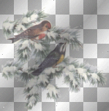 ☺xmas birds:)