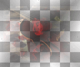 Rose Violin Background