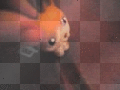 annemarie1996 2 2 annemarie1996 2 2