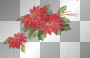 ☺xmas flowers:)