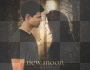 Jacob & Bella [New Moon]