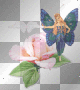 butterfly fairy with pink rose butterfly fairy with pink rose