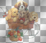 ☺xmas pups:)
