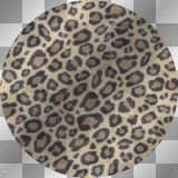 Tp - Leopard Circle