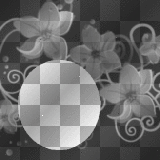 Tp - Black Flower Frame BG.