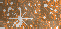 topaz/brown/orange