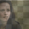 NEW MOON  bella y paul ©dK