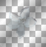 Flower (White)-tresellea