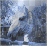 Unicorno