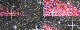 pink and black glitter