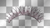 Tp - Thin Pink eyelash