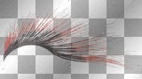 Tp - Red/Black Feather eyelash