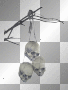 skulls