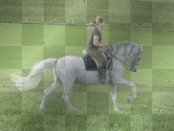 Galopp