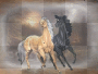 les chevaux!!! (1) stamps!!