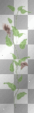 ☺©Green Floral Vine®☺