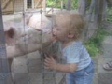 :))  The baby and the pig :))