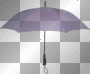 ☺©Purple Umbrella®☺