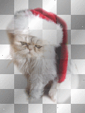 chat -c
