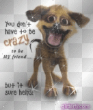 You dont