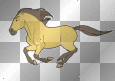 Spirit