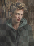robert pattinson