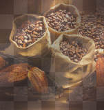 chocolat