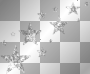 silver stars silver stars
