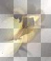 Gold Rose Background Transparent Gold Rose Background Transparent