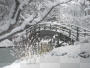 hiver japonais