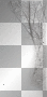 winter snowy tree ' transparent border
