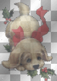 Xmas