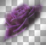 fleur