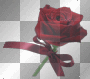 flower deco RED   ©dK