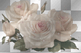 flower flower