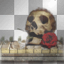 skull skull