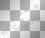 White Stars