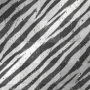 scratched leopard/cheetah/girraffe/zebra/turtle print animal add on or ink :D 