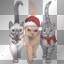 christmas cats
