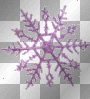 purple snow star purple snow star