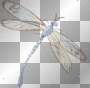 ☺©Dragonfly®☺