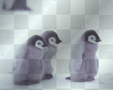 cute penguins By BimbaStylosadivina