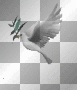 Dove with olive branch_medium