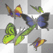 Group of Butterflies Smaller