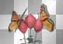 Large Monarchs & flowers