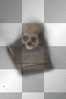 skull on books