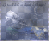 dauphins