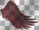 Wing