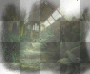 exotic background 