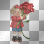 Gänseblümchen37